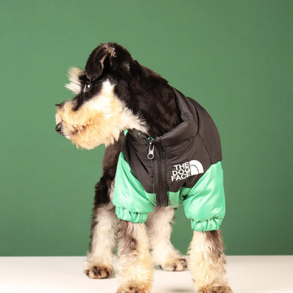 Rover Rituals | Dog Puffer Jacket – Warm, Windproof & Stylish Winter Coat