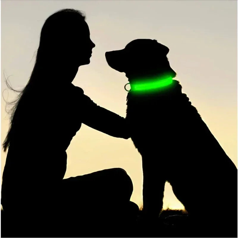 Rover Rituals | SafeShine Collar | Rechargeable glowing LED dog collar for safety night walks