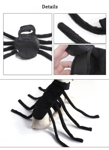 Spider Costume for Cats and Small to Medium Dogs