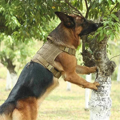 Conjuntos de arneses y correas tácticos para perros medianos y grandes y collares para perros