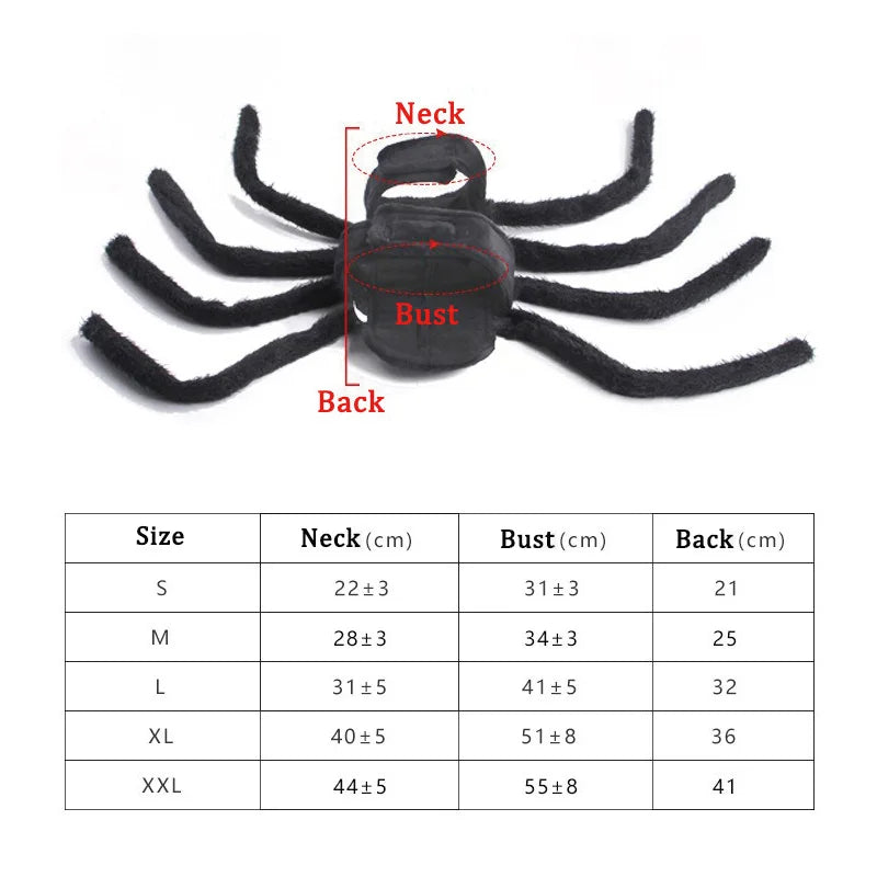 Spider Costume for Cats and Small to Medium Dogs