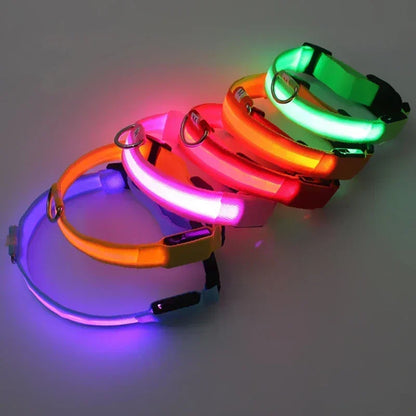 Rover Rituals | SafeShine Collar | Rechargeable glowing LED dog collar for safety night walks