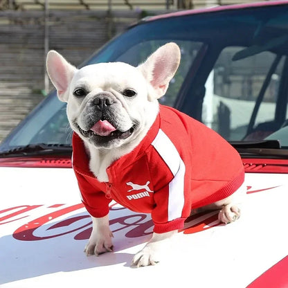 Sports Zip Dog Sweater Dog Clothes