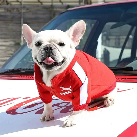Sports Zip Dog Sweater Dog Clothes