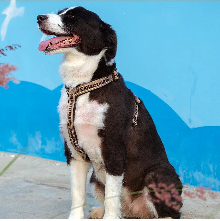 TrueLove Comfort Neoprene Adjustable Reflective Dog Harness