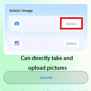 LumiOrb 3D Wifi Video Crystal Ball Personalized Dog Gift Keepsake