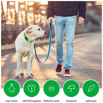 Rover Rituals | SafeShine Collar | Rechargeable glowing LED dog collar for safety night walks
