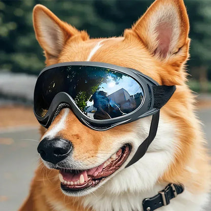 Pet Goggles Adjustable Anti UV Glare Windproof Sunglasses for Dogs Outdoor Hiking Running Beach All Breeds Eye Protection Black - Rover Rituals