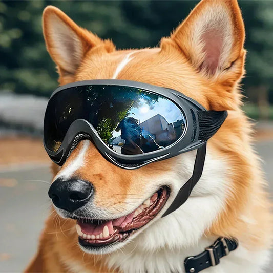 Pet Goggles Adjustable Anti UV Glare Windproof Sunglasses for Dogs Outdoor Hiking Running Beach All Breeds Eye Protection Black - Rover Rituals