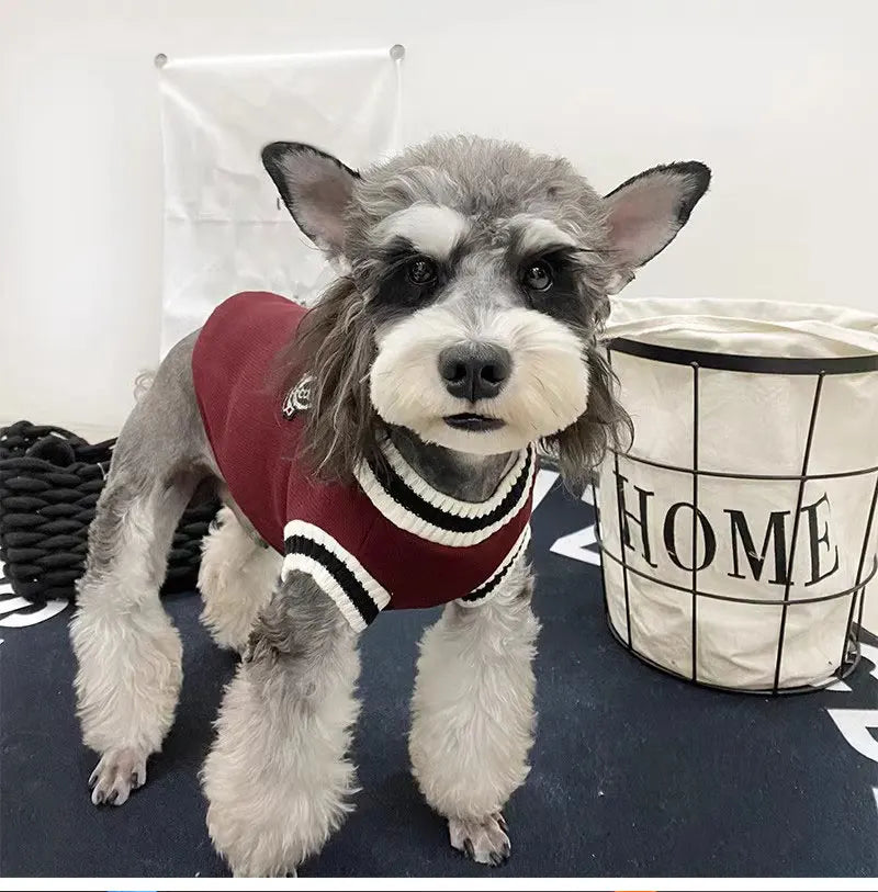 Winter Warm Dog Sweater College Style V-neck Knitwear Coat | Dog Clothes