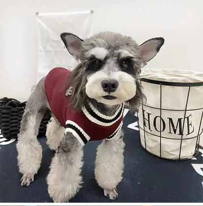Winter Warm Dog Sweater College Style V-neck Knitwear Coat | Dog Clothes