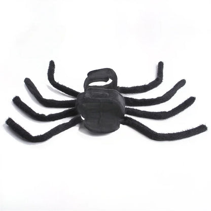 Spider Costume for Cats and Small to Medium Dogs