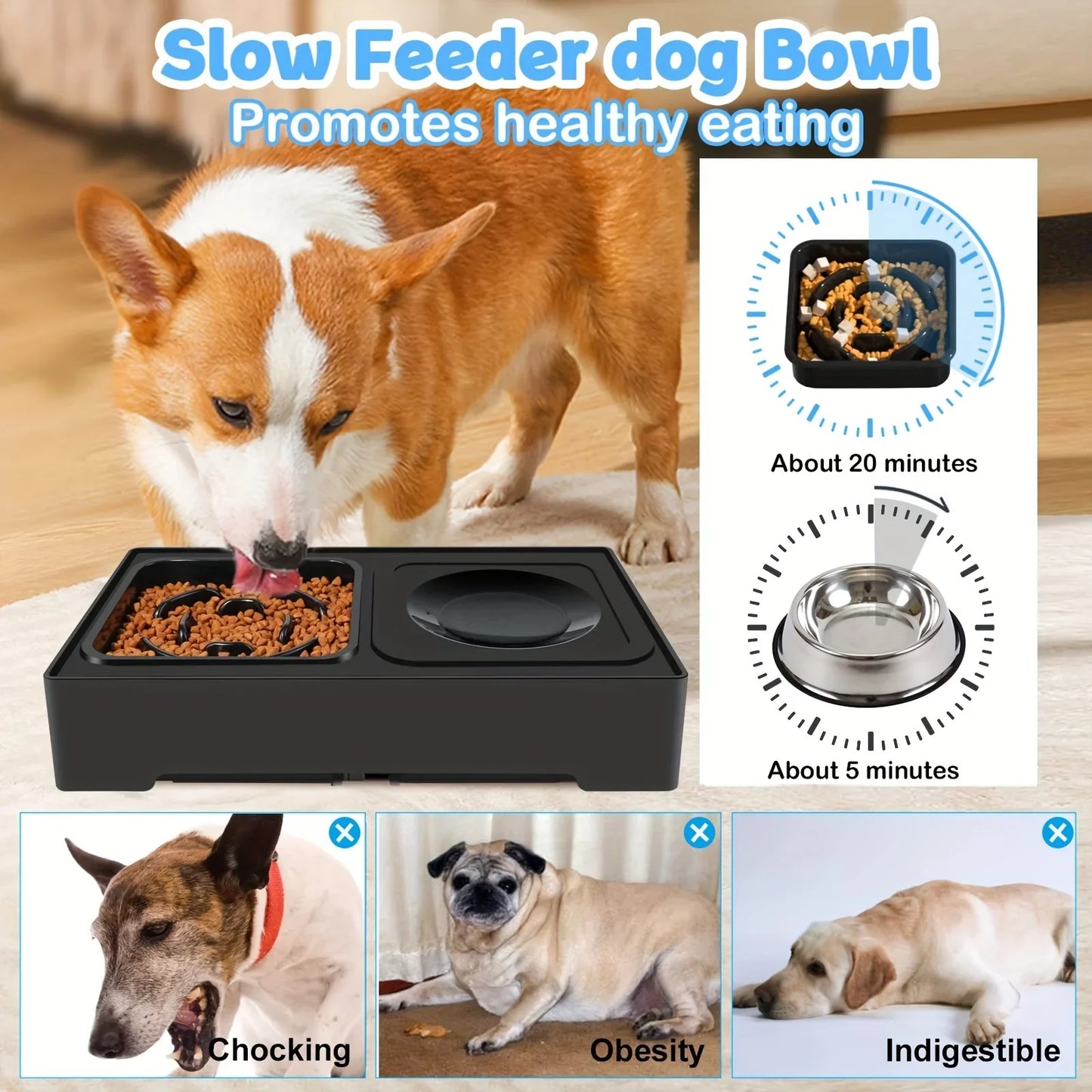 Elevated Dog Bowl Stand | Elevated Dog Bowl | Dog Slow Feeder Bowl