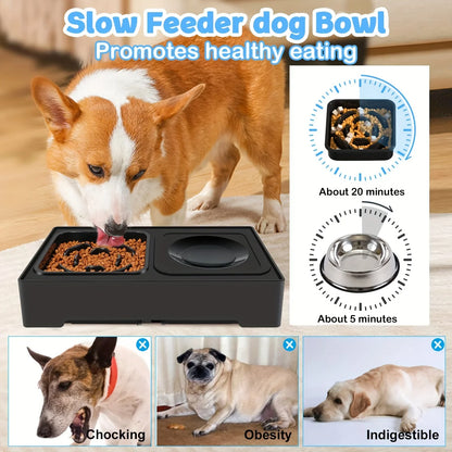 Elevated Dog Bowl Stand | Elevated Dog Bowl | Dog Slow Feeder Bowl