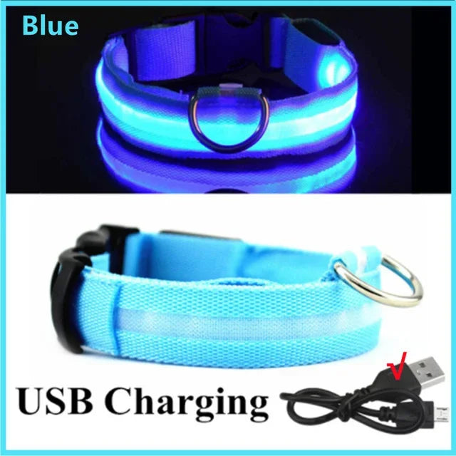 Rover Rituals | SafeShine Collar | Rechargeable glowing LED dog collar for safety night walks