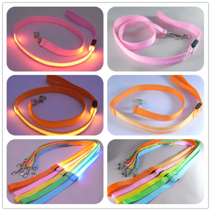 LED Light-Up Dog Leash — USB-C Rechargeable Traction Rope