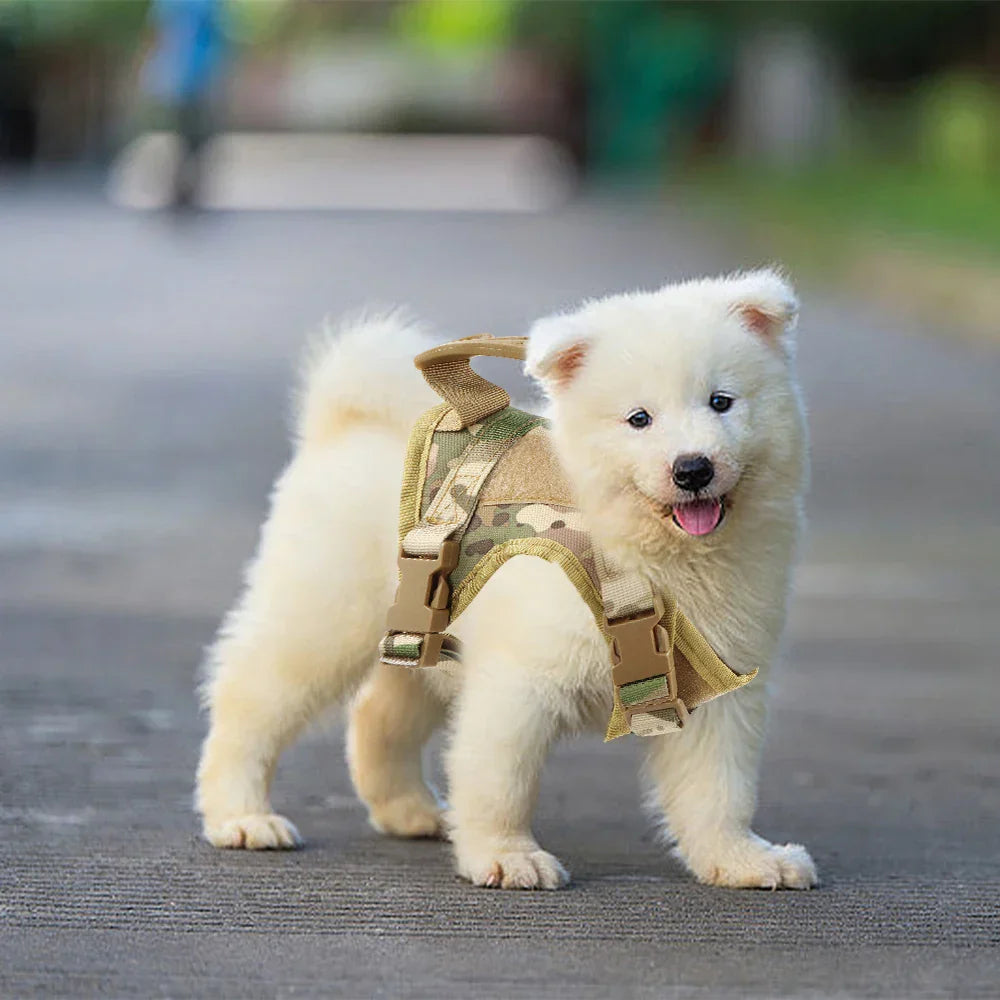 Rover Rituals | Tactical Dog Harness and Leash for Small Dogs | Durable & Secure Fit