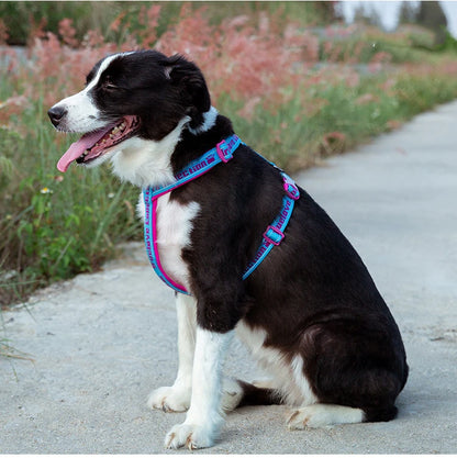 TrueLove Comfort Neoprene Adjustable Reflective Dog Harness