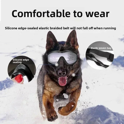 Pet Goggles Adjustable Anti UV Glare Windproof Sunglasses for Dogs Outdoor Hiking Running Beach All Breeds Eye Protection Black - Rover Rituals