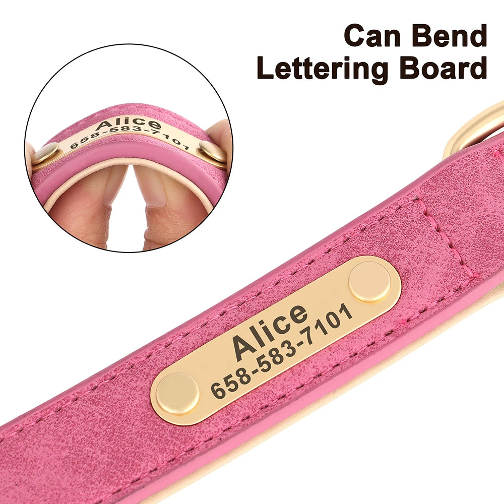 Personalized Dog Collars with Name Customizable ID Tag Nameplate