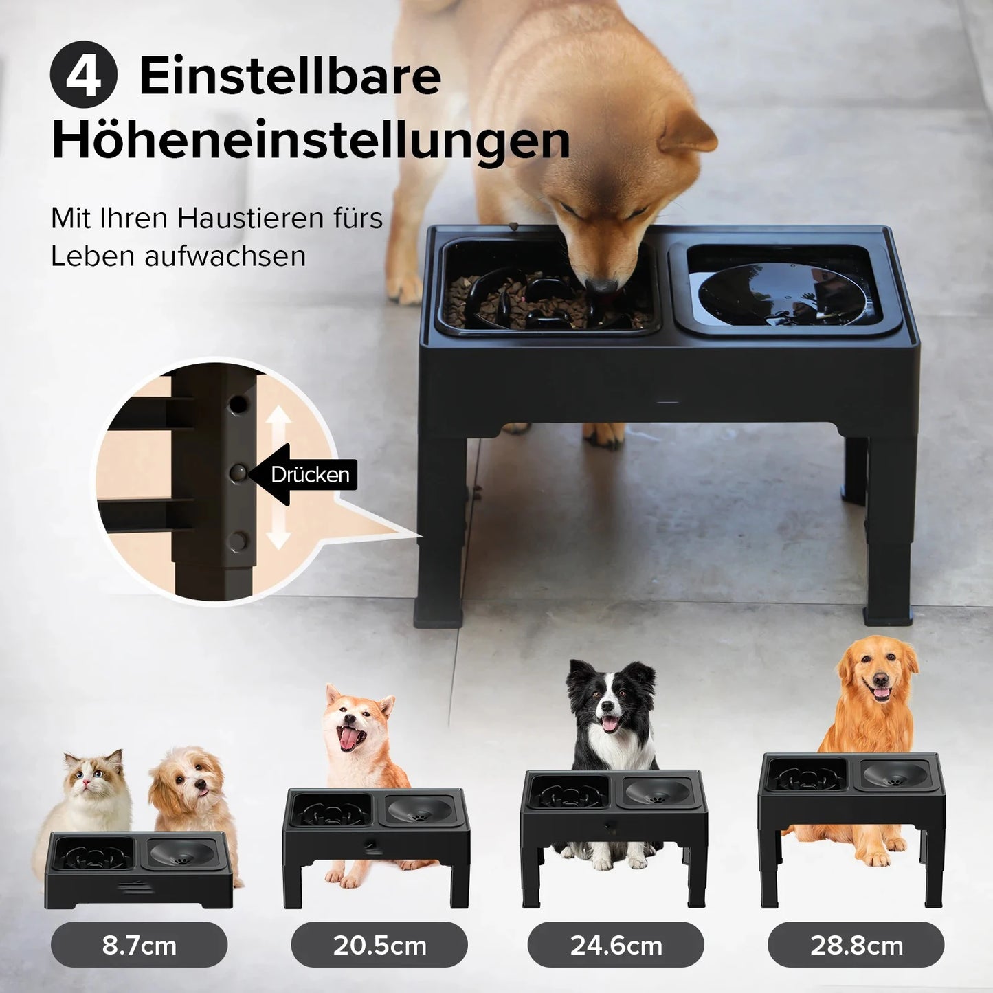 Elevated Dog Bowl Stand | Elevated Dog Bowl | Dog Slow Feeder Bowl