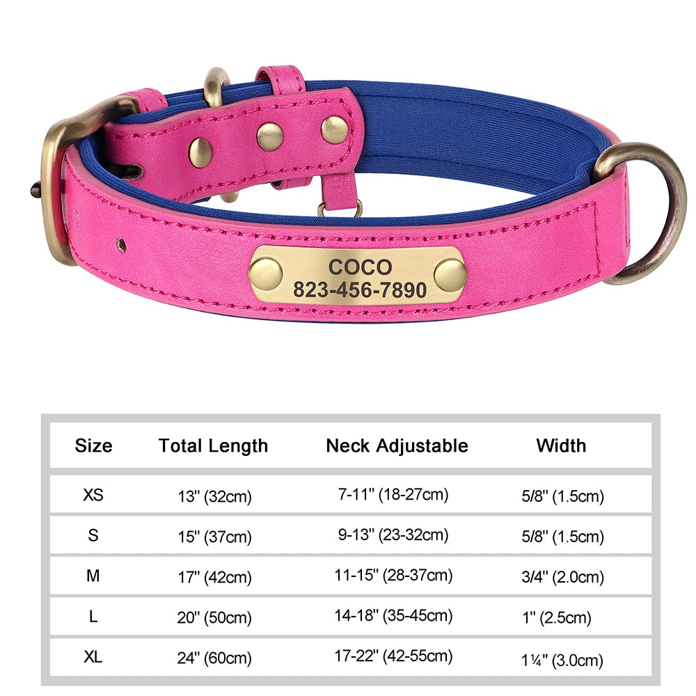 Personalized Dog Collars with Name Customizable ID Tag Nameplate