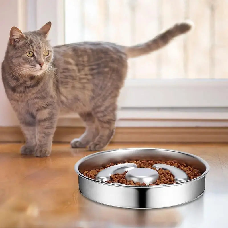 Slow Feeder Dog Bowl Stainless Steel