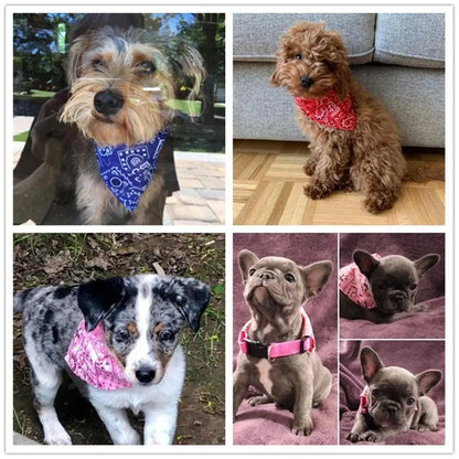 Dog Bandana Dog Scarf with buckle | Dog Clothes