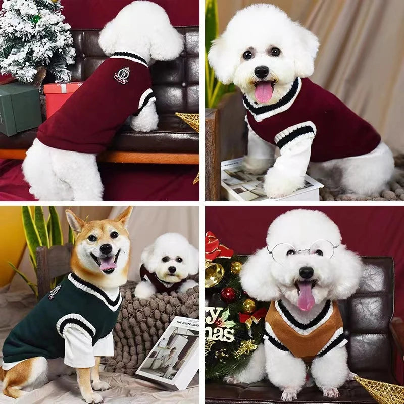 Winter Warm Dog Sweater College Style V-neck Knitwear Coat | Dog Clothes
