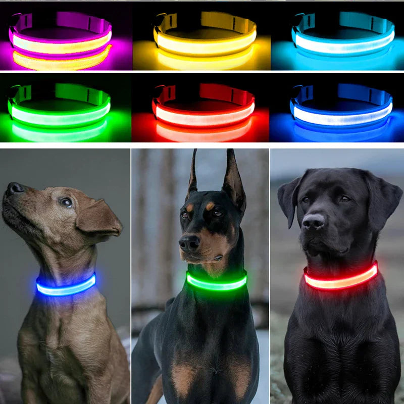 Rover Rituals | SafeShine Collar | Rechargeable glowing LED dog collar for safety night walks