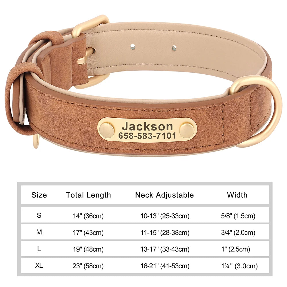 Personalized Dog Collars with Name Customizable ID Tag Nameplate