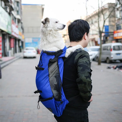 SecureRide Dog Carrier Backpack