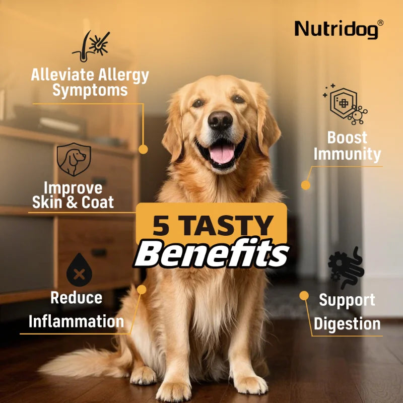 NUTRIDOG Dog Allergy Itch Relief Supplements With Omega-3 Vitamin C Support Skin Immune Health Supplement Nutrition 90 Chews - Rover Rituals