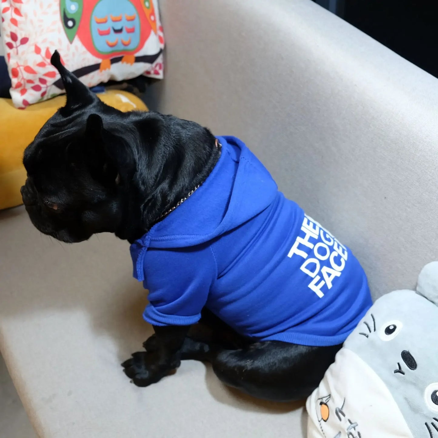 Dog Face Dog Hoodie Sweater Coat | Dog Clothes