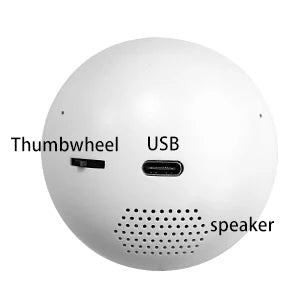 LumiOrb 3D Wifi Video Crystal Ball Personalized Dog Gift Keepsake