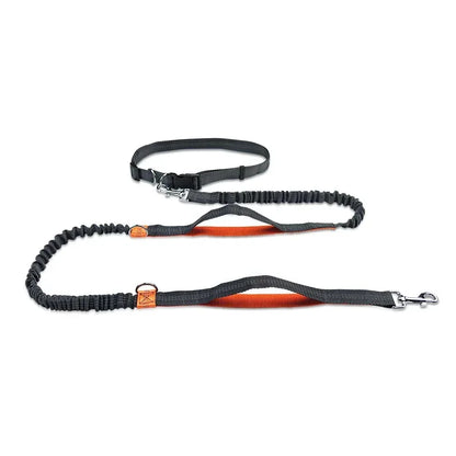 Heavy-Duty Reflective Bungee Dog Running Leash – Shock Absorbing Traction Lead for Active Dogs
