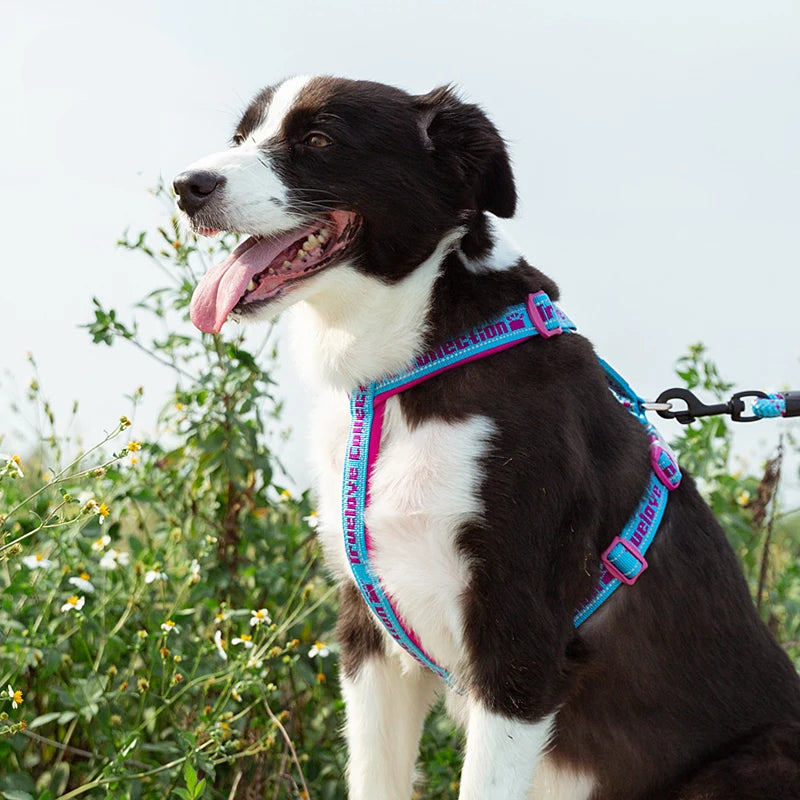 TrueLove Comfort Neoprene Adjustable Reflective Dog Harness