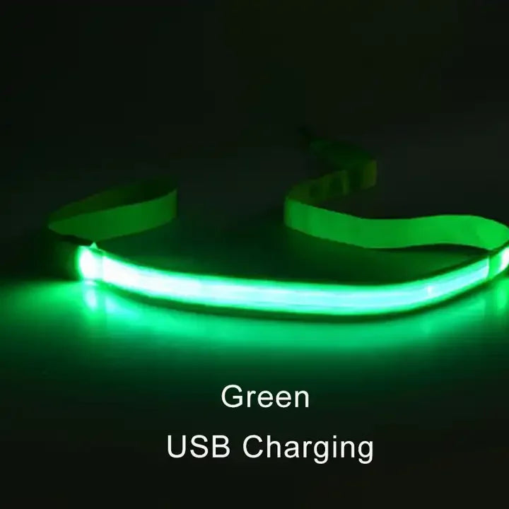 LED Light-Up Dog Leash — USB-C Rechargeable Traction Rope