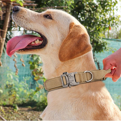 Matching Tactical Dog Collar and Leads & Collar Leash Sets