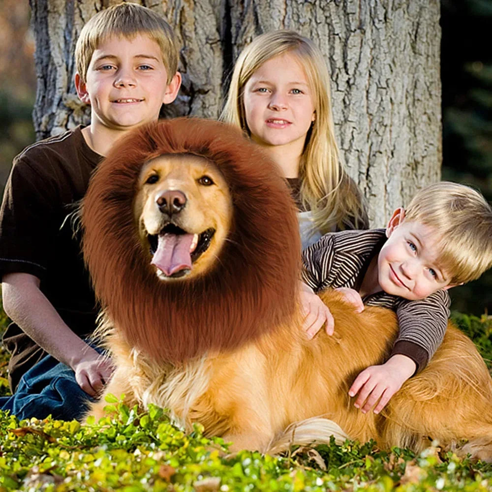 Lion Mane Costume Wig for Medium and Large Dogs