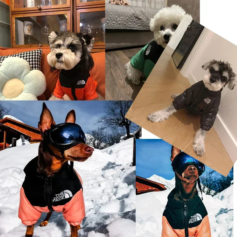 Rover Rituals | Dog Puffer Jacket – Warm, Windproof & Stylish Winter Coat