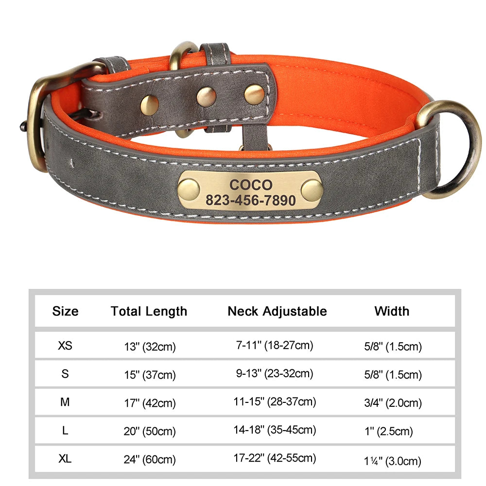Personalized Dog Collars with Name Customizable ID Tag Nameplate
