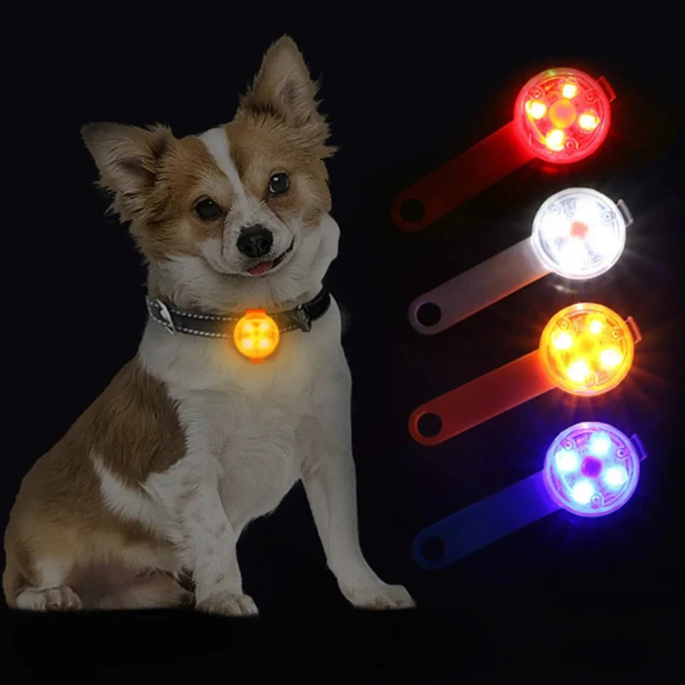 LED Dog Collar Pendant Night Safety USB Rechargeable with Light Waterproof | Dog Collars