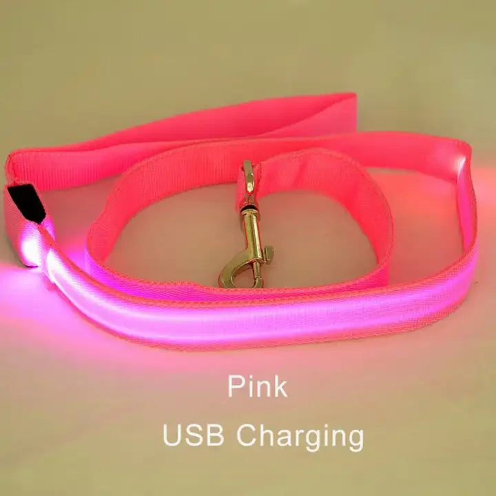 LED Light-Up Dog Leash — USB-C Rechargeable Traction Rope