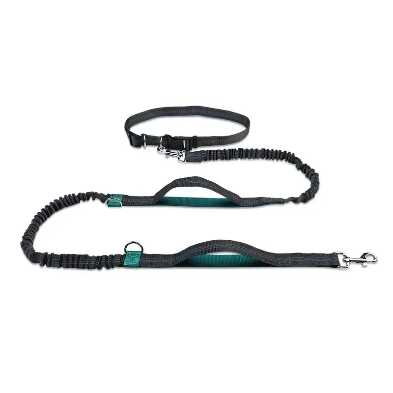 Heavy-Duty Reflective Bungee Dog Running Leash – Shock Absorbing Traction Lead for Active Dogs
