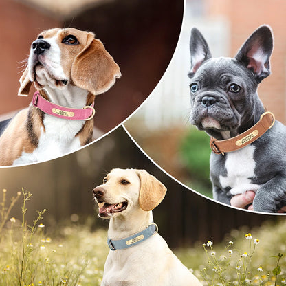 Personalized Dog Collars with Name Customizable ID Tag Nameplate