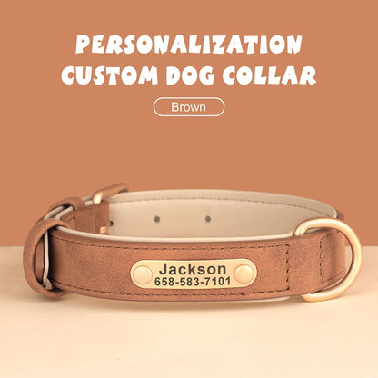Personalized Dog Collars with Name Customizable ID Tag Nameplate