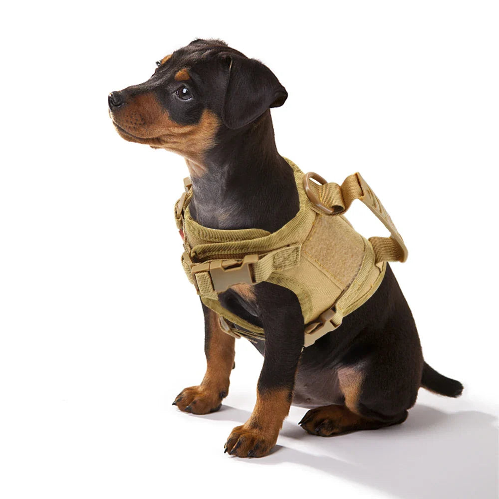 Rover Rituals | Tactical Dog Harness and Leash for Small Dogs | Durable & Secure Fit