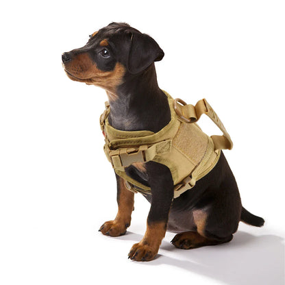 Rover Rituals | Tactical Dog Harness and Leash for Small Dogs | Durable & Secure Fit