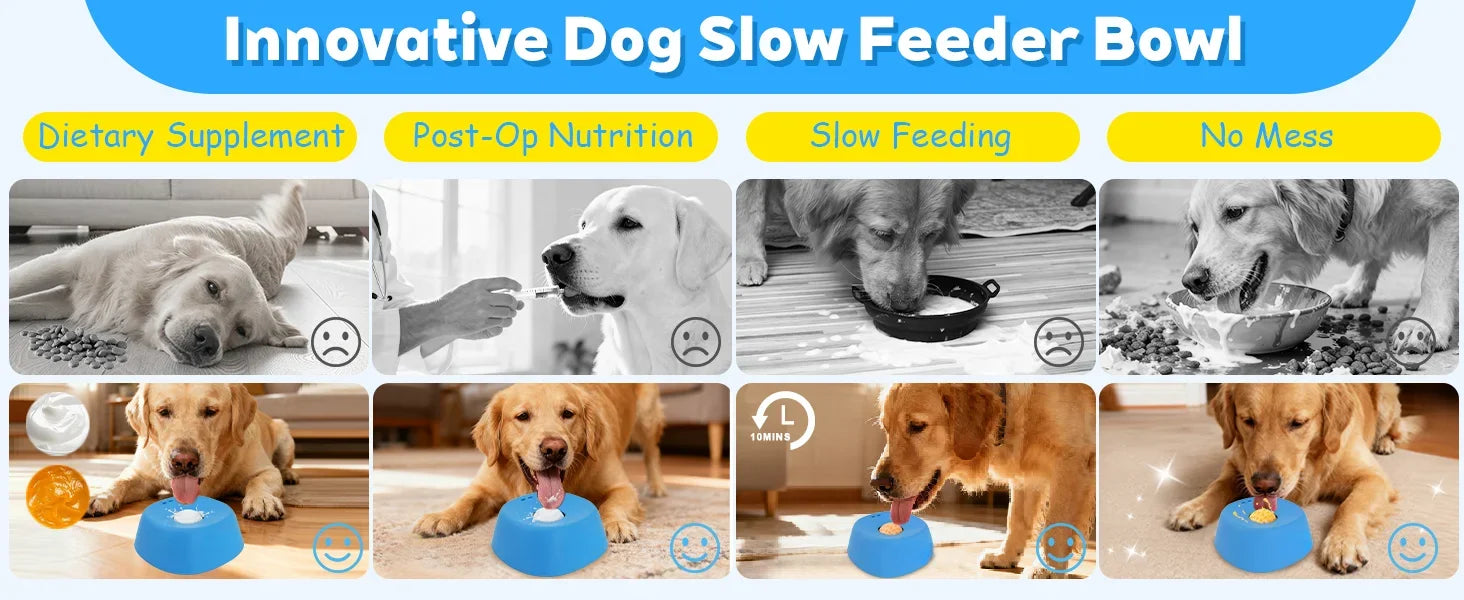 Anti-Anxiety Dog Slow Feeder Bowl Non-Slip Lick Toy - Rover Rituals